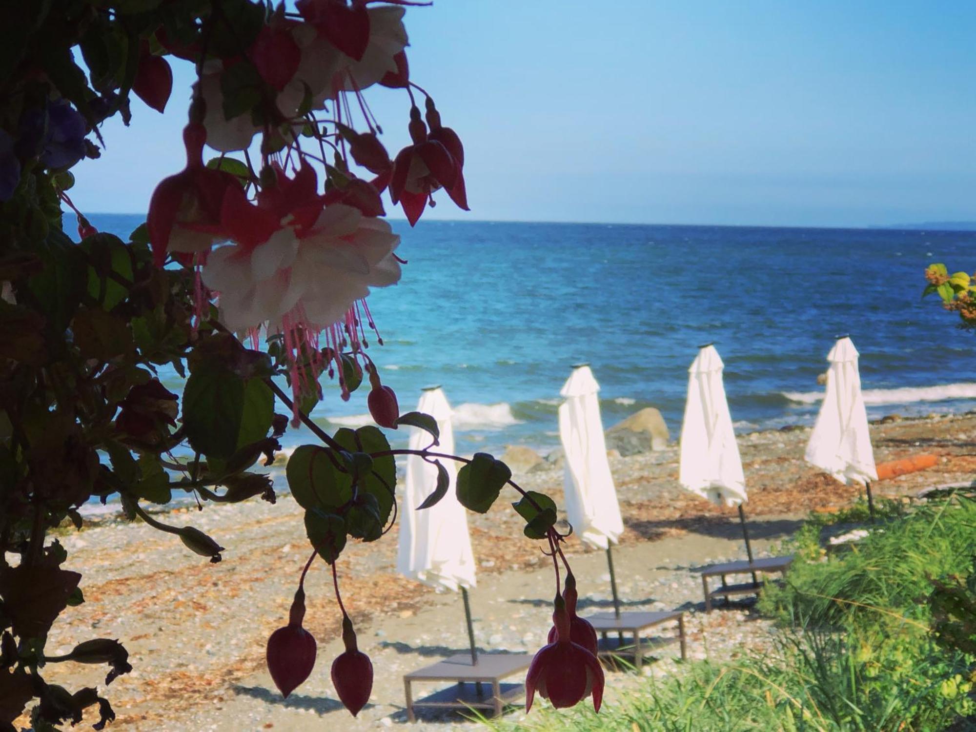 Qualicum Breeze Beach Resort Bowser Екстериор снимка
